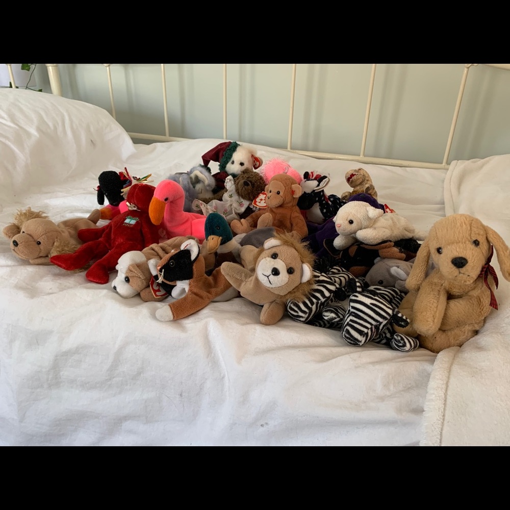 Beanie Baby Bundle